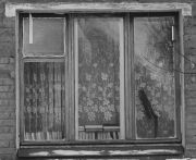 L1001880.jpg