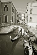 L1006974.jpg