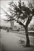 L1007230.jpg