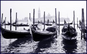 L1008199.jpg