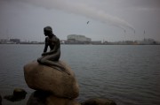 L1008334.jpg