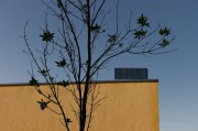 L1008839-Edit-Small.jpg