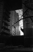 Minolta_AF-C_20140206_025.jpg