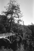 N0144_20240615_0022.jpg