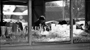 Negative0-20-18A_1_.jpg