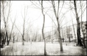 Piter-12.jpg