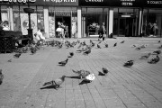 Scan-130806-0008.jpg