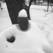 SuperIkonta-20160128-009-2.jpg