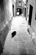Toscana_IlfordFP4_61_.jpg