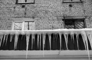 Untitled-456.jpg