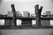 Untitled-571.jpg