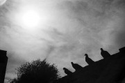 Untitled-751.jpg