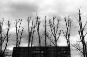 Untitled-788.jpg