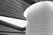 Untitled_1135_.jpg