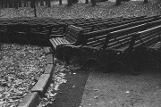 Untitled_12_14.jpg