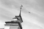 Untitled_198_.jpg Untitled_198_.jpg