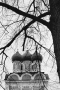 Untitled_443_.jpg