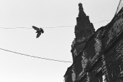 Untitled_519_.jpg