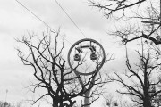 Untitled_538_.jpg
