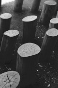Untitled_810_.jpg