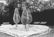 Untitled_9_14.jpg