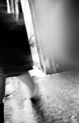 XA_HP5_XTOL_1_1_Jan_2015854.JPG