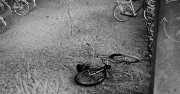 Z2_I22_2023-03-27-0020_s.jpg Z2_I22_2023-03-27-0020_s.jpg