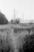 a125_hc110b14minScan-181119-0008_copy.jpg a125_hc110b14minScan-181119-0008_copy.jpg