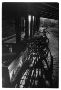 ber_velo_800.jpg