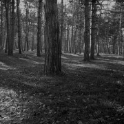 img001-11.jpg img001-11.jpg