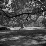 img007-111.jpg