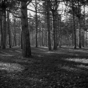 img009-112.jpg img009-112.jpg