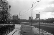 img256-222.jpg