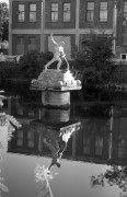 img310_.jpg