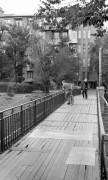 img321.jpg