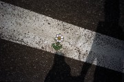 img569-111.jpg