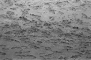 img577db.jpg