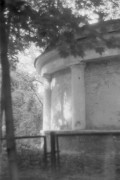 img810a.jpg