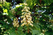 r001-00129.jpg r001-00129.jpg