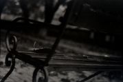 scan0010.jpg