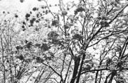 snow01.jpg snow01.jpg
