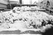 snow08.jpg snow08.jpg