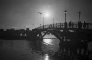 zX0265.jpg
