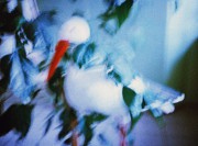 000003_00351_2_net.jpg 000003_00351_2_net.jpg