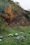 0032-1.jpg 0032-1.jpg
