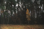00420.jpg 00420.jpg