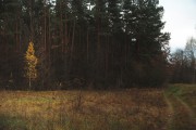 00524.jpg