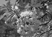 0218.jpg 0218.jpg