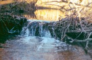 03212.jpg 03212.jpg