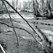 06139_.JPG 06139_.JPG